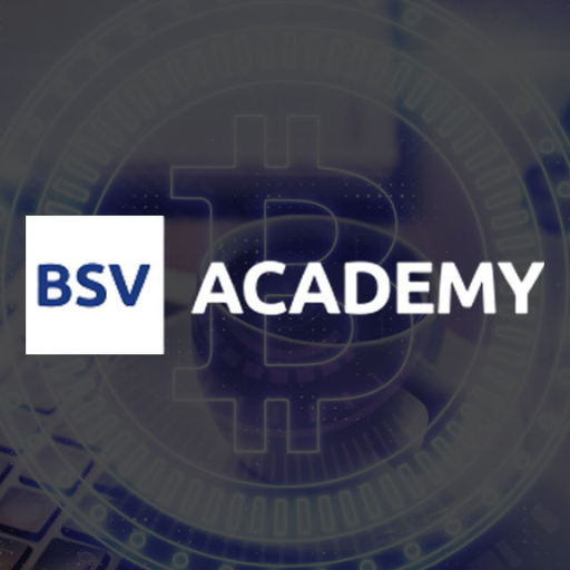 BSV Academy
