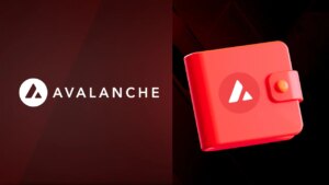 10 Best Avalanche Wallets in 2024