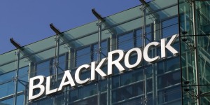 Securitize Launches USDC Conversions for BlackRock's Digital Liquidity Fund - Decrypt