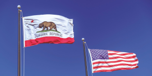 California Court Rules Lido DAO Members Can Be Held Liable Under Partnership Laws - Decrypt