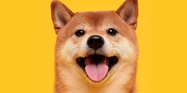 Charity Platform JustGiving Adds Support for Bitcoin, Dogecoin Donations - Decrypt