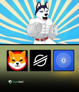 Bitcoin (BTC) Drops to $93K While Husky Inu (HINU) Presale Soars