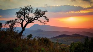 Ripple And Chipper Cash Partner To Simplify Cross-Border Payments In Africa - EGamers.io - P2E NFT Games Portal