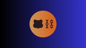 Berachain Sees $300M Outflow, Token And User Numbers Decline - EGamers.io - P2E NFT Games Portal