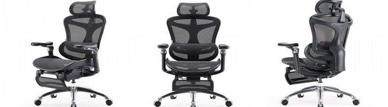 Sihoo Doro C300 Ergonomic Office Chair Review - MMOs.com
