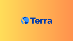 Terraform Labs Opens Crypto Loss Claims Portal For Terra Collapse Victims - EGamers.io - P2E NFT Games Portal