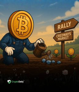 Starknet Launches Bitcoin Staking And STRK Fund