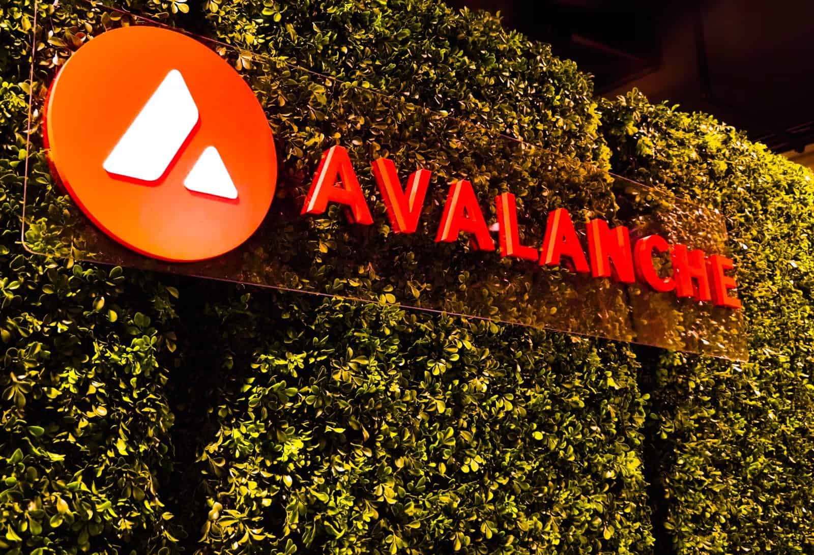 "VanEck's New Avalanche ETF on NASDAQ: Exploring Its Influence on Web3 Gaming and the AVAX Ecosystem"