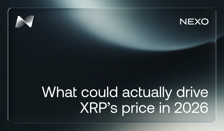 XRP Value Prediction: What Really Drives It