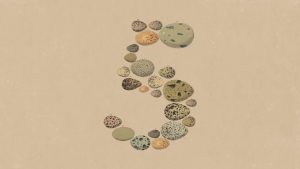 opus 5 lands as a steady upgrade not a shake up and anthropic kept the price flat The number worth dwelling on in Anthropic's Opus 5 announcement isn't a benchmark result. It's $5 per million input tokens and $25 per million output tokens — exactly what the model it replaces already cost.