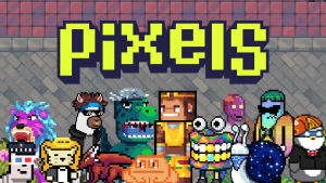 pixels rallies players behind feed the founder a 500 000 point communi In Brief: