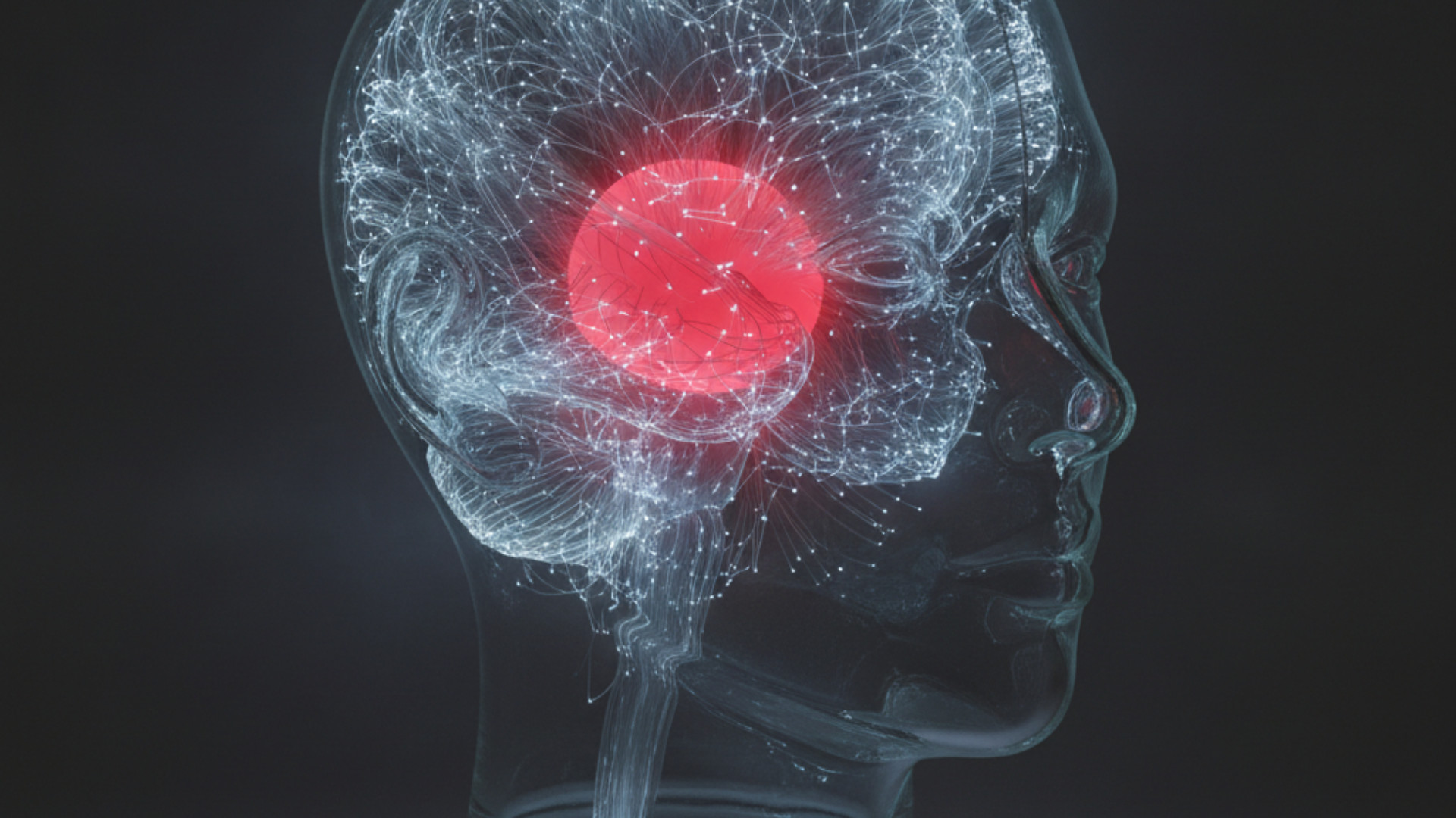 The Hard Problem Won't Go Away: Christof Koch On Why Brain Maps Can't Explain Redness - EGamers.io - P2E NFT Games Portal
