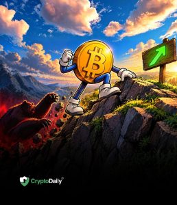 Bitcoin escapes the drop: looking bullish again